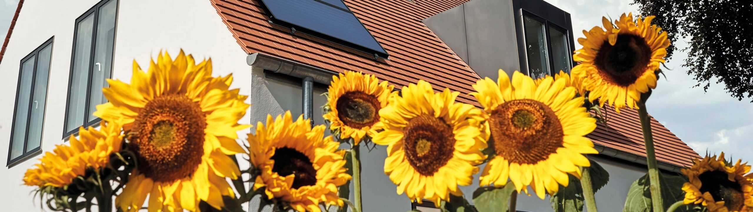 Sfeerbeeld zonneboiler met zonnebloemen op de voorgrond
